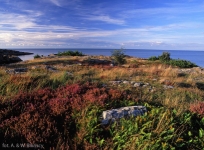 BORNHOLM – On the island there are both sandy beaches and rocky cliffs. Admire rocky shores visible on the picture, rather typical for the Swedish skerries.
