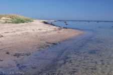 HIUMA – On the beaches of the Estonian Hiuma island you can enjoy total solitude.