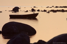 HIIUMAA – das Wasser um Hiiumaa herum ist flach mit zahlreichen postglazialen Steinen. Die Umgebung des gemütlichen Hafens Sõru im Norden der Insel.